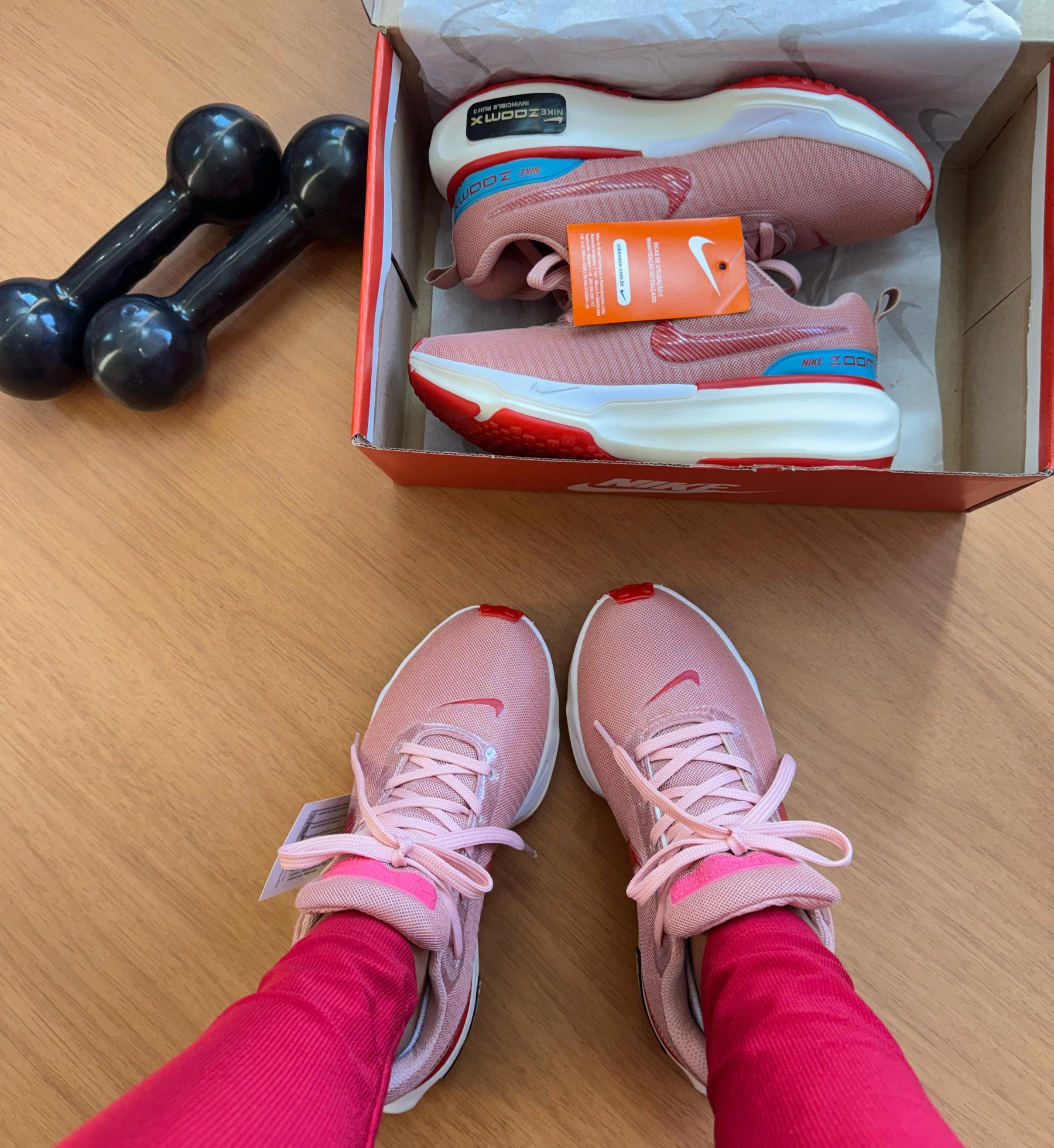 Nike Invincible Run 3 Feminino